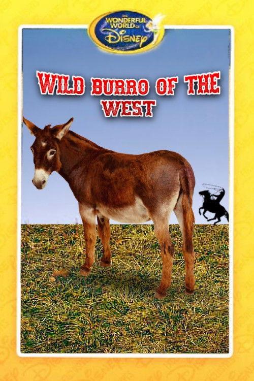 Wild Burro of the West 1960 official movie poster