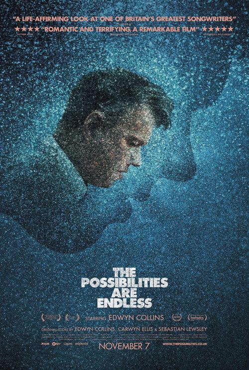The Possibilities Are Endless 2014 official movie poster