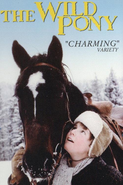 The Wild Pony 1983 official movie poster