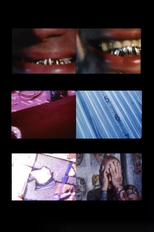 Terra Vermin 1998 official movie poster