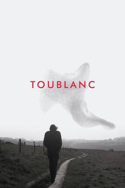 Toublanc 2017 official movie poster