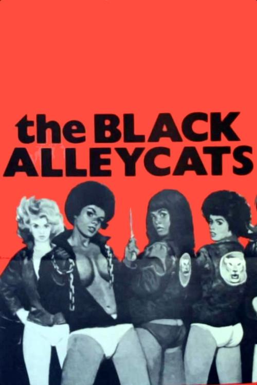 The Black Alley Cats 1973 official movie poster