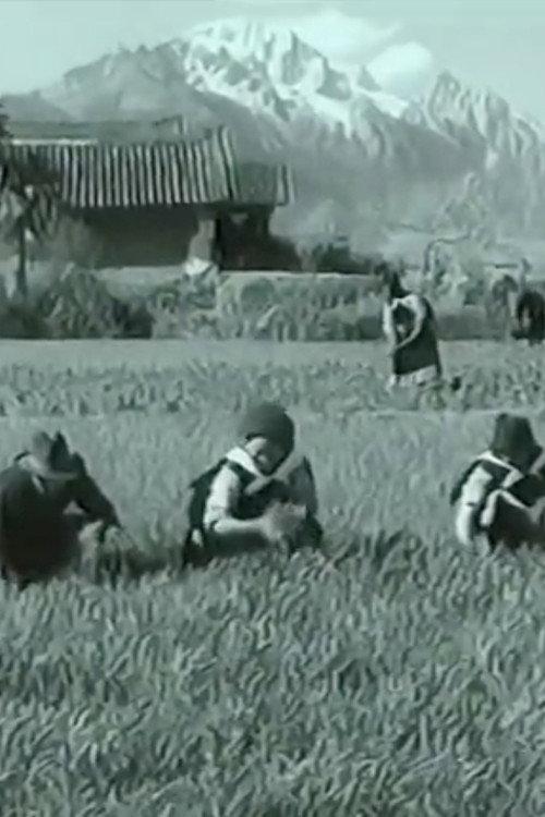 Naxi Art and Culture in Lijiang 1966 official movie poster