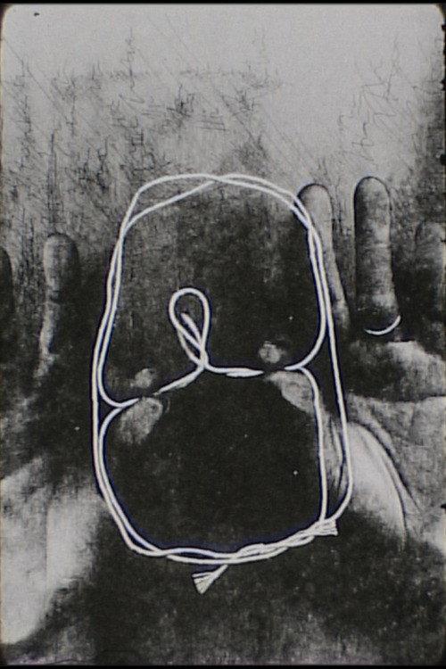 cat's cradle 2011 official movie poster