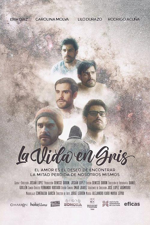 La vida en gris 2024 official movie poster