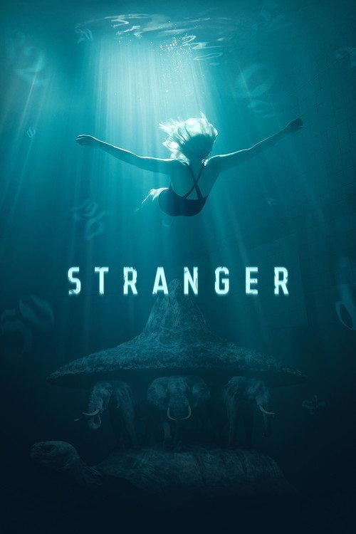 Stranger 2019 official movie poster