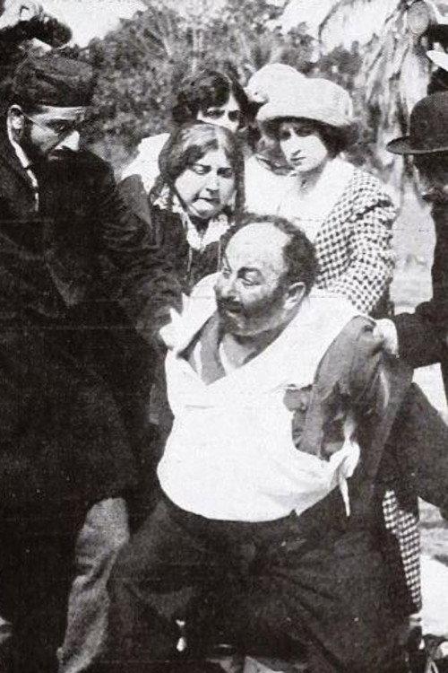 Frayed Fagin's Adventures 1913 official movie poster