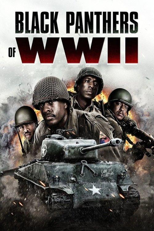 Black Panthers of WWII 2025 official movie poster