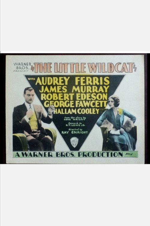 The Little Wildcat 1928 official movie poster