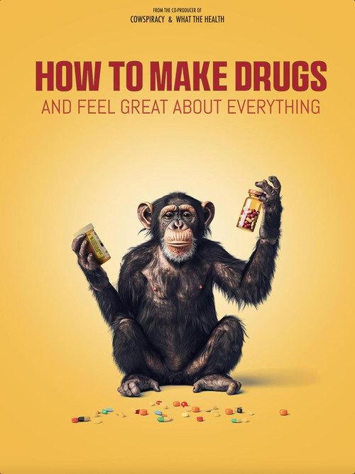 How to Make Drugs and Feel Great About Everything 2025 official movie poster