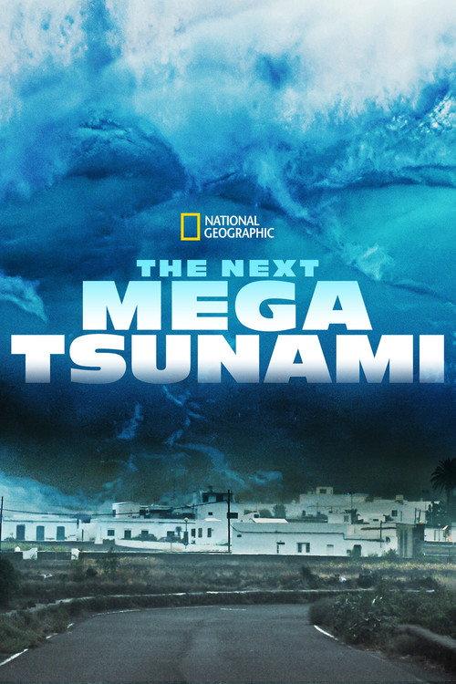 The Next Mega Tsunami 2014 official movie poster