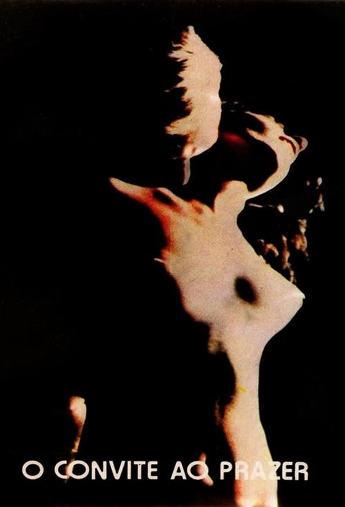 Invitation to Pleasure 1980 official movie poster