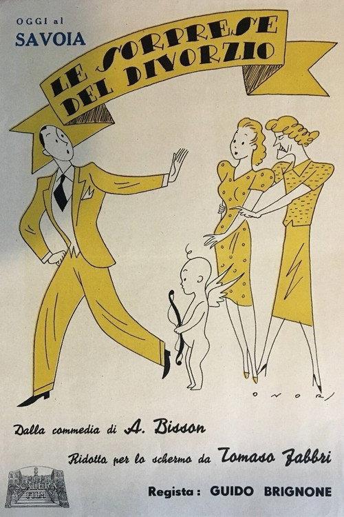Le sorprese del divorzio 1923 official movie poster