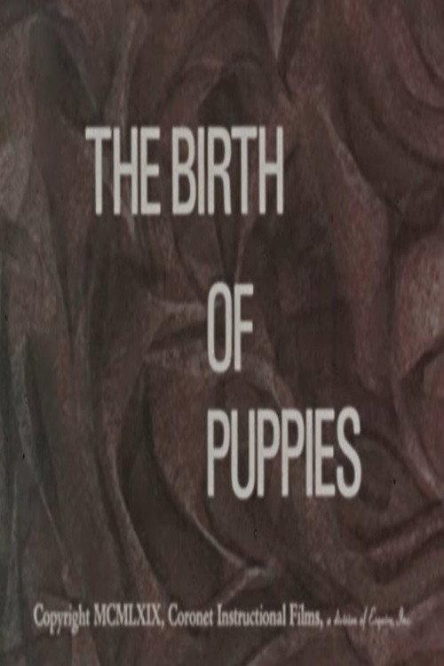 The Birth of Puppies 1969 official movie poster