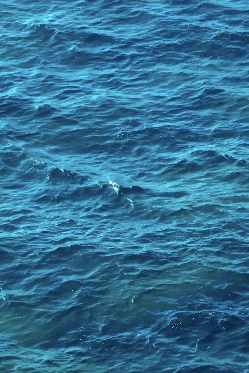 Desde la mar 2022 official movie poster