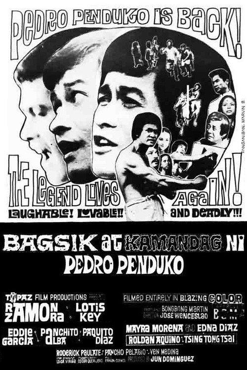 Bagsik At Kamandag Ni Pedro Penduko 1974 official movie poster