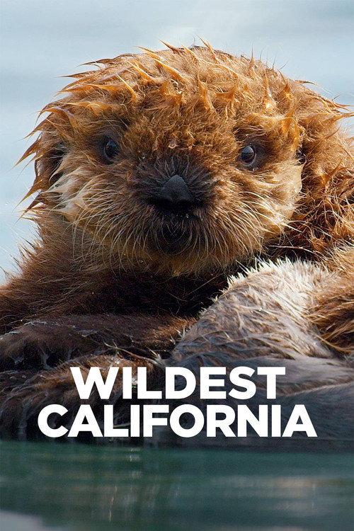 Wildest California 2021 official movie poster