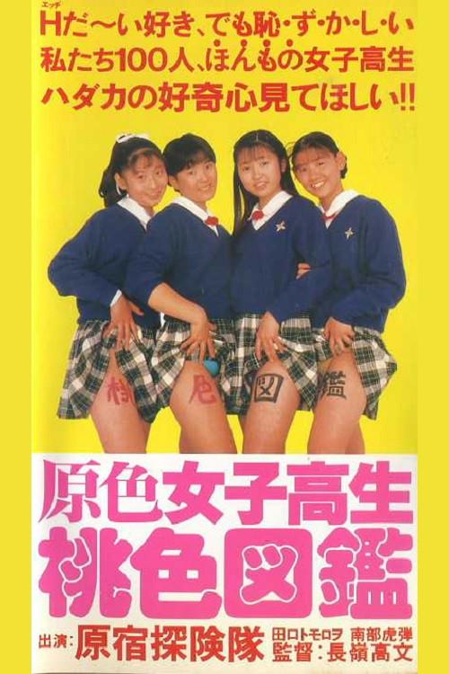 Primary Colour High School Girl Pink Picture Book 1990 official movie poster