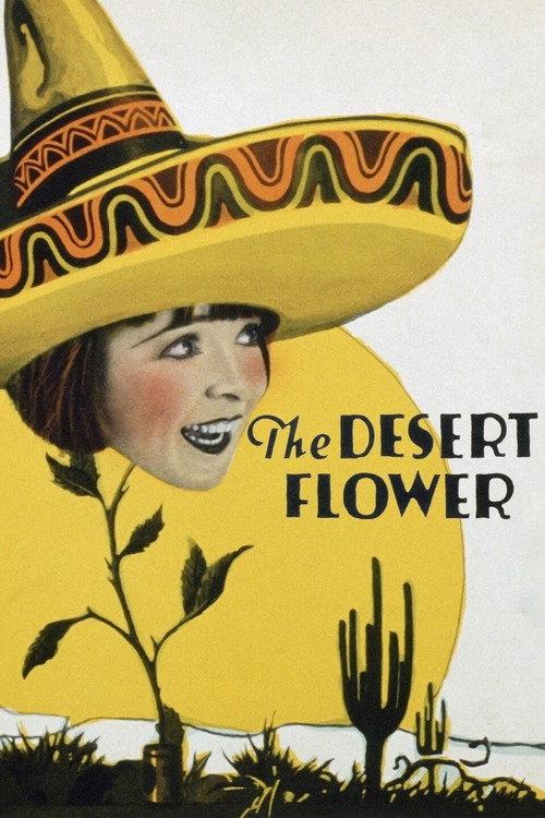 The Desert Flower 1925 official movie poster