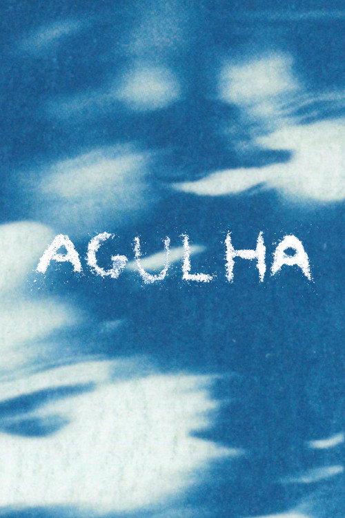 AGULHA 2026 official movie poster