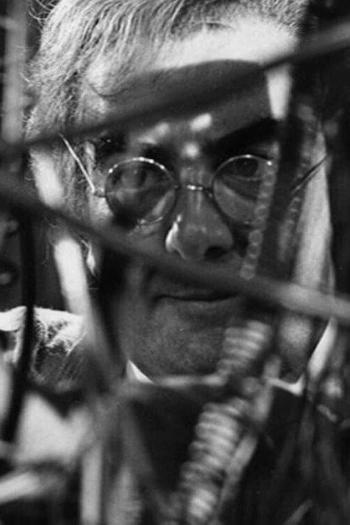 Something in the Cellar 1969 official movie poster
