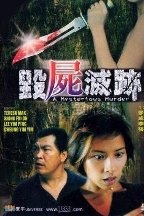 A Mysterious Murder 2003 official movie poster