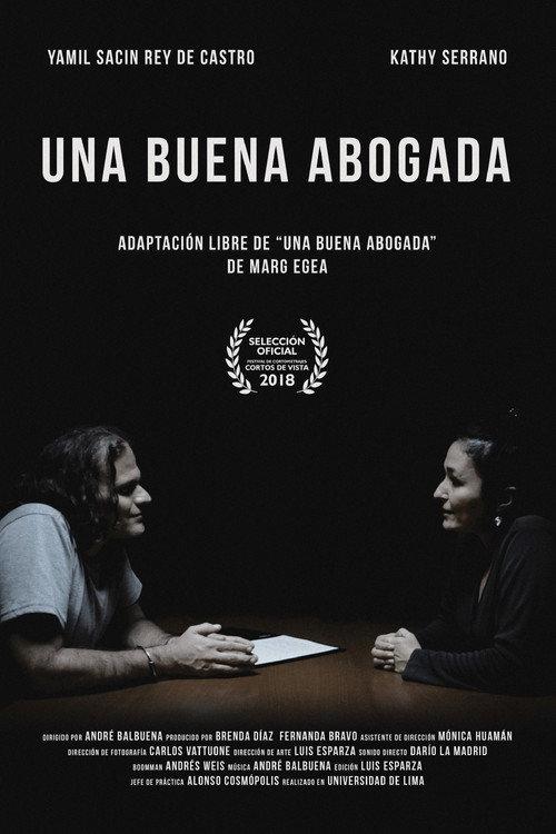 A Good Lawyer 2018 official movie poster