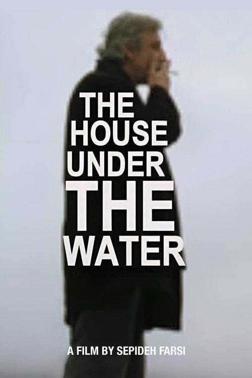 The House under the Water 2010 official movie poster