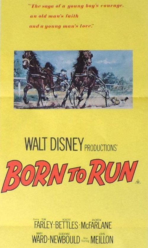 Born to Run 1977 official movie poster