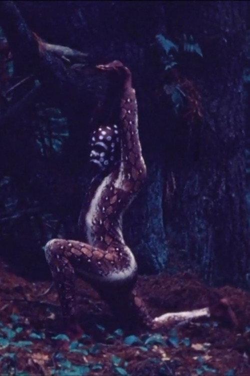Snake Dance Teacher Dance 1978 official movie poster