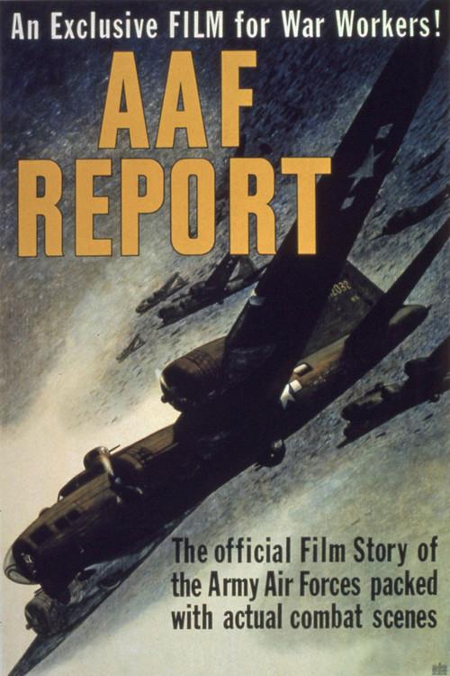 AAF Report 1944 official movie poster