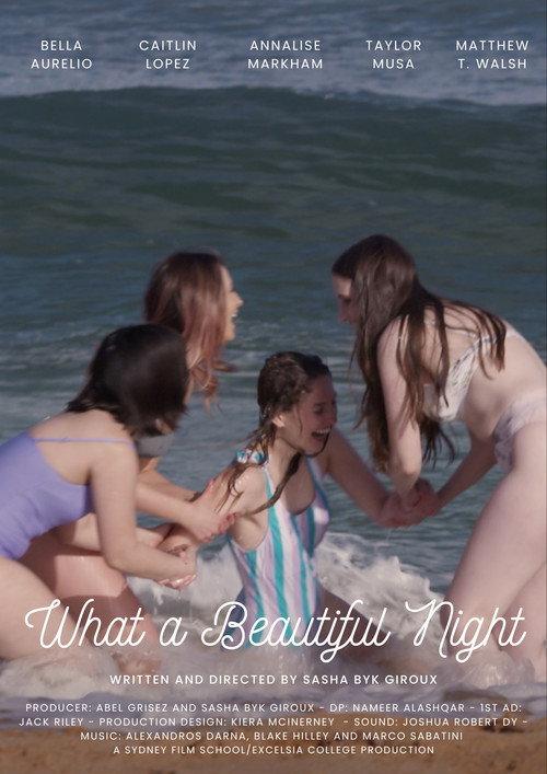 What a Beautiful Night  official movie poster