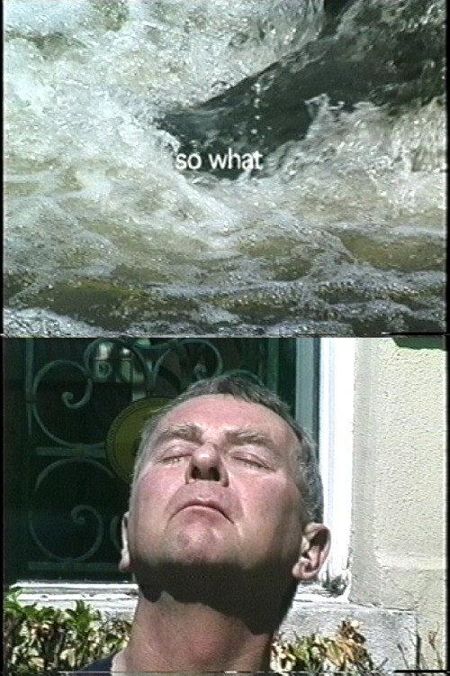 So What? 2004 official movie poster