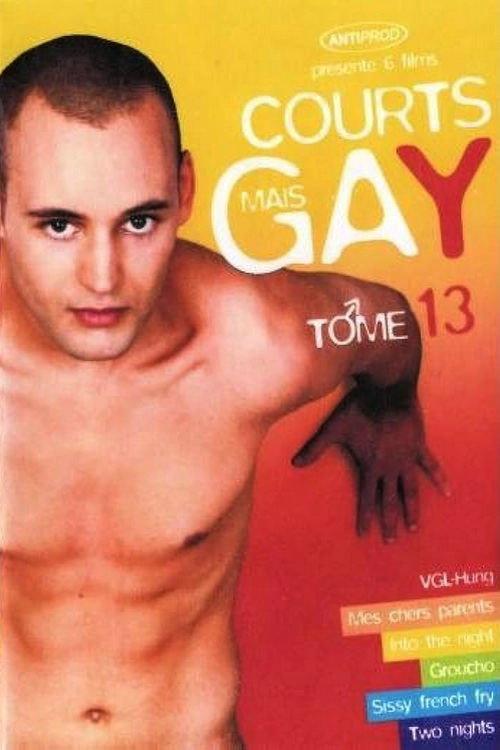 Courts mais Gay : Tome 13 2007 official movie poster