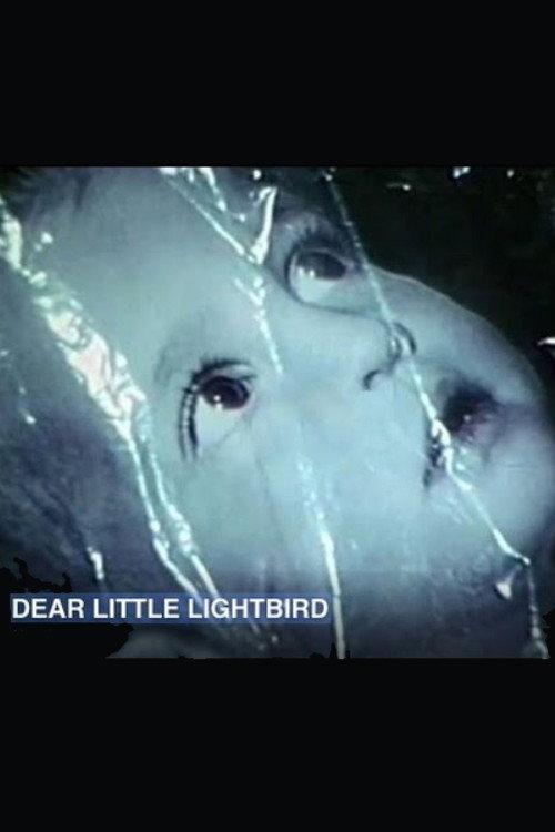 Dear Little Lightbird 1968 official movie poster