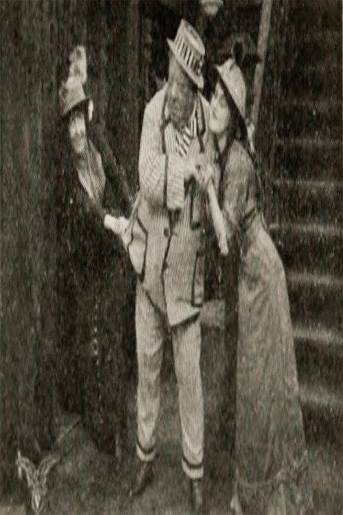 Father's Flirtation 1914 official movie poster