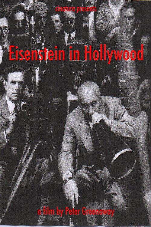 Eisenstein in Hollywood  official movie poster