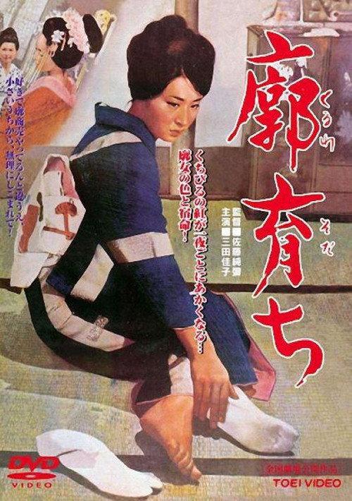 Raised in a Palace 1964 official movie poster