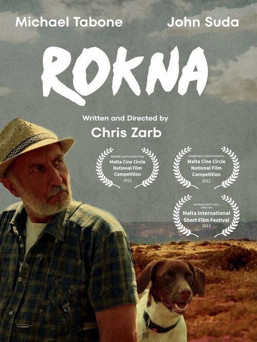 Rokna 2012 official movie poster