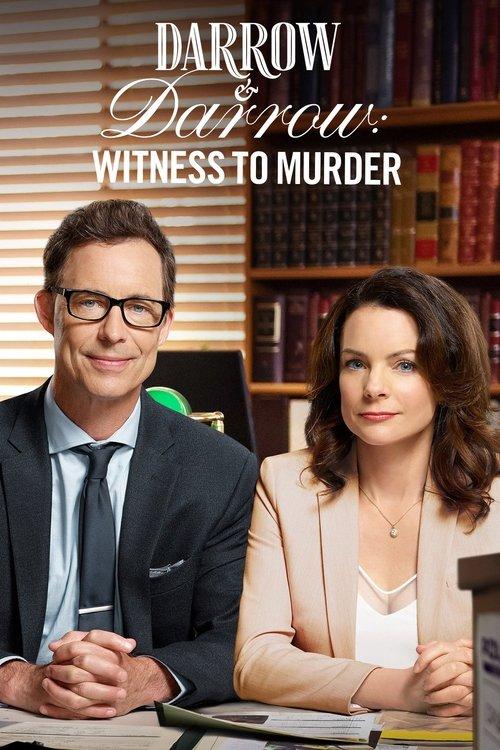 Darrow & Darrow: Witness to Murder 2019 official movie poster