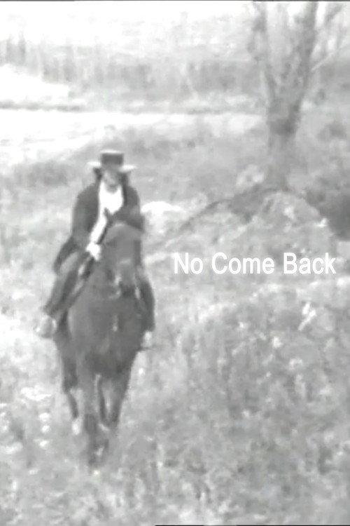 No Come Back 1973 official movie poster