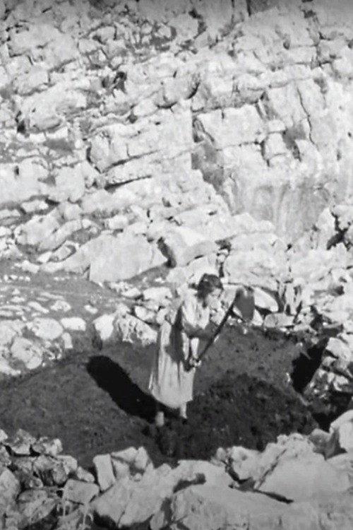 Prisoners of Stones 1959 official movie poster