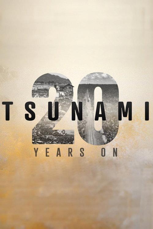Tsunami: 20 Years On 2024 official movie poster