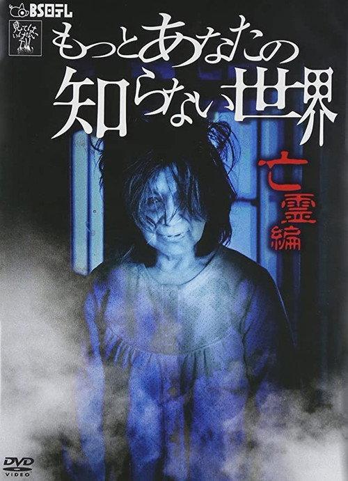 More World You Don't Know ~Ghost Edition~ 2013 official movie poster