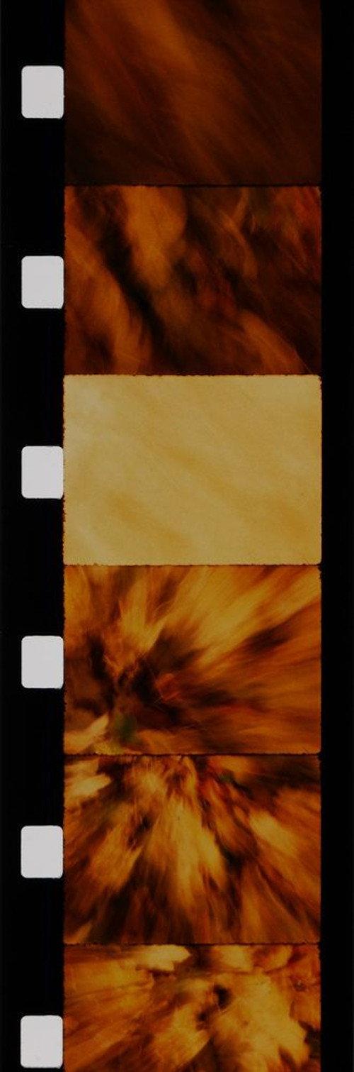 Feuilles 1989 official movie poster