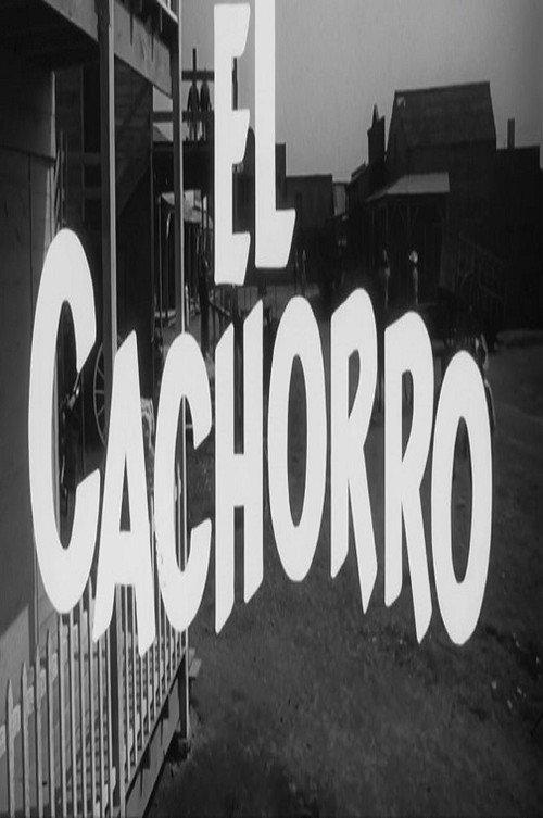 El cachorro 1966 official movie poster