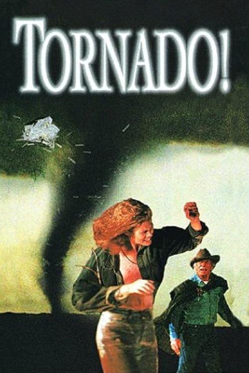 Tornado! 1996 official movie poster