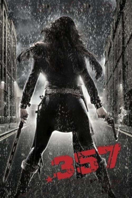 .357 2013 official movie poster