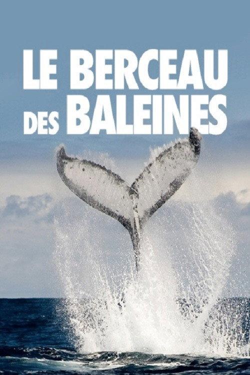 The Cradle of Whales 2015 official movie poster