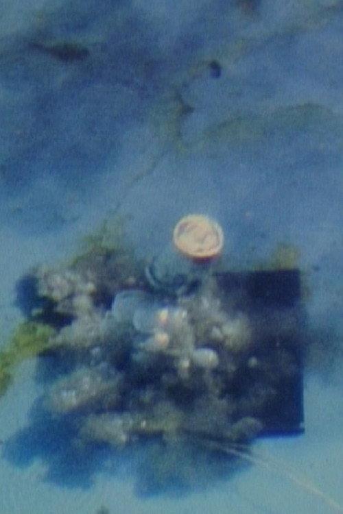 Contained Under Water 1980 official movie poster